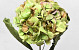 Gedroogde hortensia