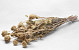 Venkel Naturel 150gr.