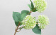 Artificial Allium White 42cm