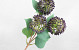 Artificial Allium Violet 42cm