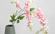 Künstliche Wisteria Rosa 100cm 