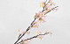 Artificial Apple Blossom Pink 84cm