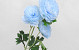 Kunst Camelia Blauw 70cm
