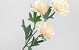 Artificial Chrysanthemum Light Peach 66cm 