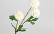 Künstliche Chrysantheme Weiß 66cm 