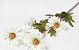 Artificial Dahlia White 75cm 