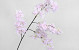 Artificial Lilac Light Pink 100cm 