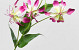 Artificial Gloriosa Pink 80cm 