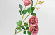 Artificial Wild Rose Mauve 80cm 