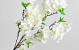 Cerisier artificielle Blanc 90cm 