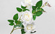 Rose artificielle Crème 80cm 