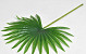Kunst Palm blad Groen 50cm