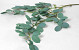 Artificial Eucalyptus Green 100cm 