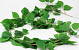 Artificial Ivy Garland 200cm
