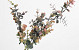 Kunst Eucalyptus Rood 65cm