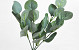 Kunst Eucalyptus Spray 34cm