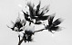 Foam Flower Spray White/Charcoal 85cm