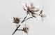 Foam Flower Spray White/Mocca 85cm
