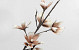 Schaumstoff Magnolia Weiß/Mocca, D 18cm