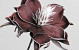 Foam Bloem Aubergine, D 20cm