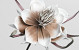 Foam Bloem Wit/Mocca, D 20cm