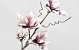 Foam Flower Spray White/Lilac 70cm 