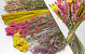 DIY Droogboeket XL Roze/Geel