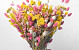 Dried Flower Bouquet Yellow/Pink XL