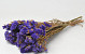 Statice Sinuata Violet foncé