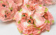 Kunst Hortensia Kop Zalm D16cm