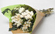 Bouquet séchées Vert/Blanc 40cm