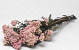 Rice Flower 100gr.