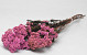 Rice Flower Roze 100gr.