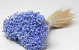 Glixia (50gr) Pastel Violet 30cm