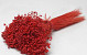 Glixia (50gr) Rood 30cm