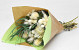 Trockenblumenstrauß Weiß 40cm