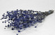 Eryngium Disteln 60cm Blau