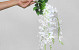 Kunst Wisteria Wit 65cm