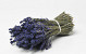 Getrockneter Lavendel 70gr. 20cm