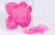 Feuille Squelette Rose 200pcs