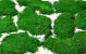 Platmos Lichtgroen per Kg