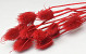 Cardy Distel Rot 70cm