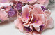 Hydrangea Head D14cm Pink