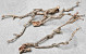 Lilac Branch 30-50cm