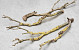 Lilac Branch 80-100cm