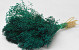 Bouquet Broom Bloom Vert Émeraude 50cm