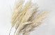 Fluffy Pampas gras 110cm