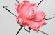 Foam Flower Pink, D 20cm