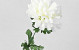Chrysanthème artificiel Blanc 52cm 