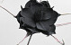Foam Flower black, D 20cm